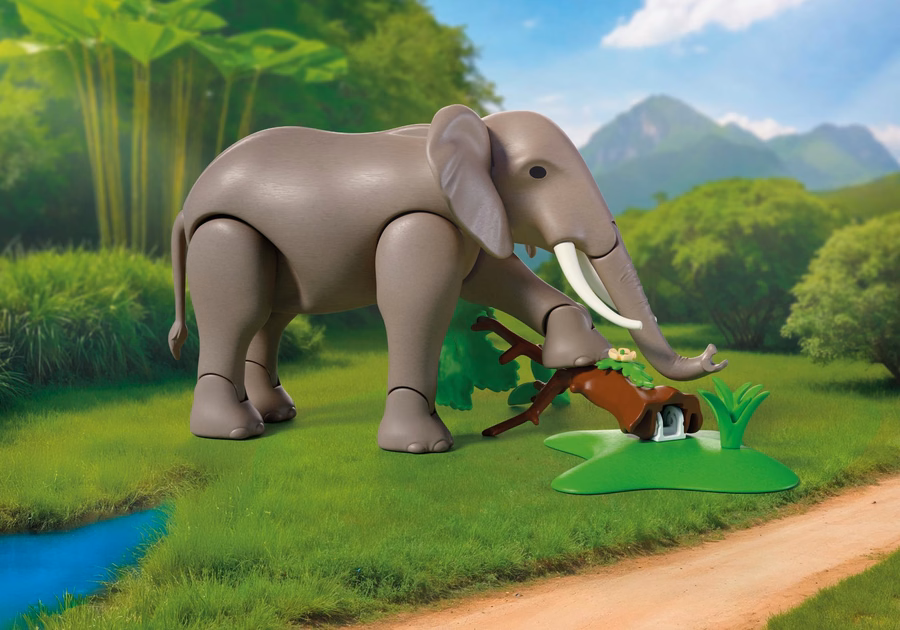 Elefante con cuidador del zoológico